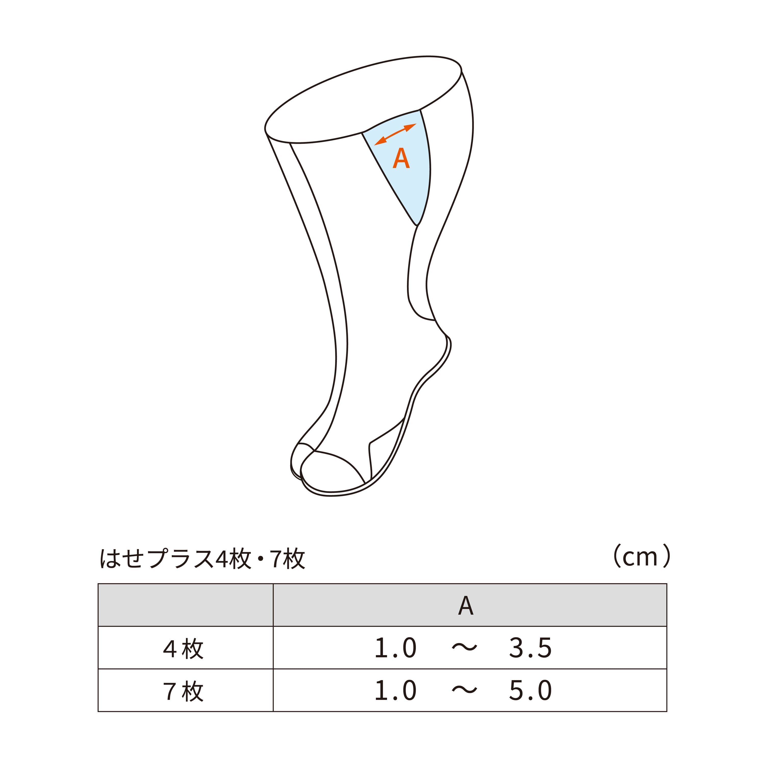 はせプラス7枚のサイズ表